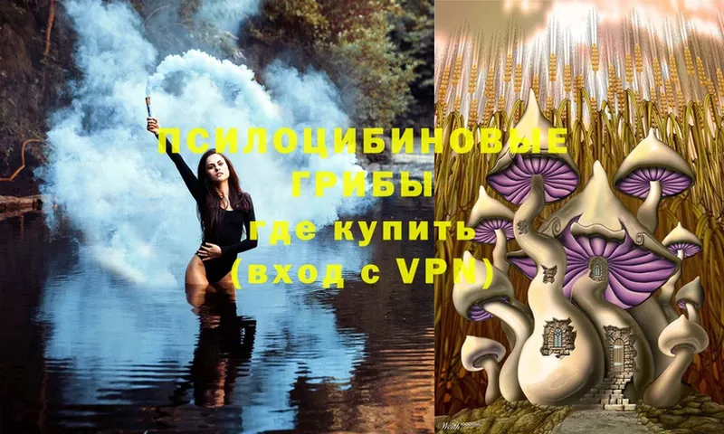 Псилоцибиновые грибы Magic Shrooms Кашира