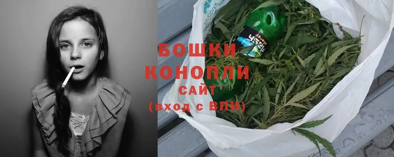 Бошки марихуана Ganja  купить закладку  Кашира 